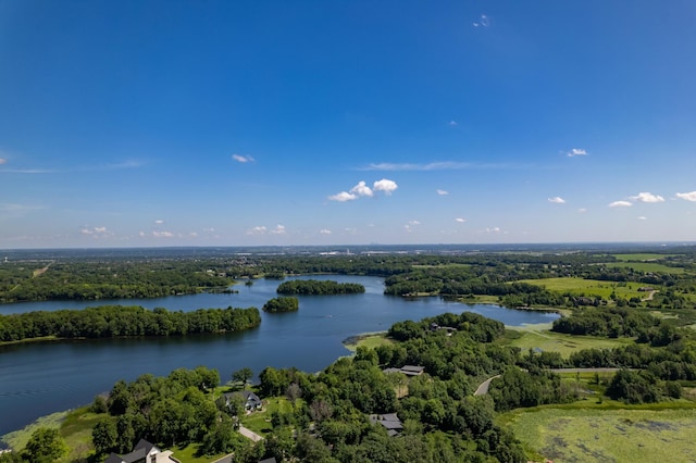 746 Peninsula Point Rd, Shakopee, MN 55379 - photo 11