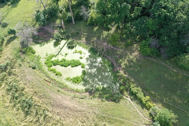 4459 130th St NW, Oronoco Twp, MN 55901 - photo 25