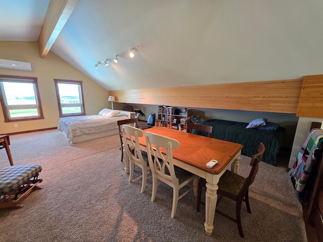 4459 130th St NW, Oronoco Twp, MN 55901 - photo 86