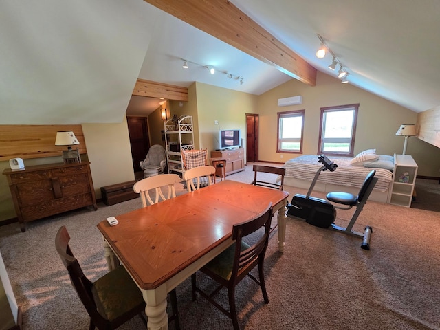4459 130th St NW, Oronoco Twp, MN 55901 - photo 87