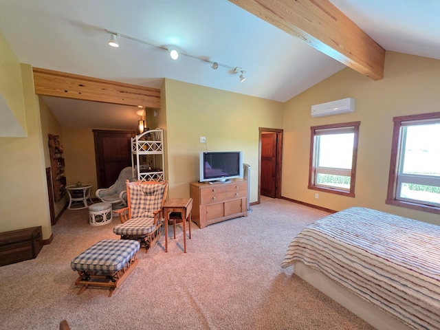 4459 130th St NW, Oronoco Twp, MN 55901 - photo 88