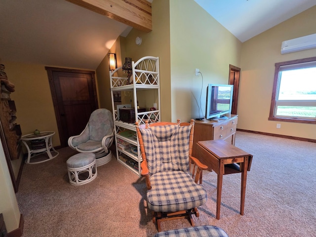 4459 130th St NW, Oronoco Twp, MN 55901 - photo 89