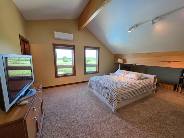 4459 130th St NW, Oronoco Twp, MN 55901 - photo 90