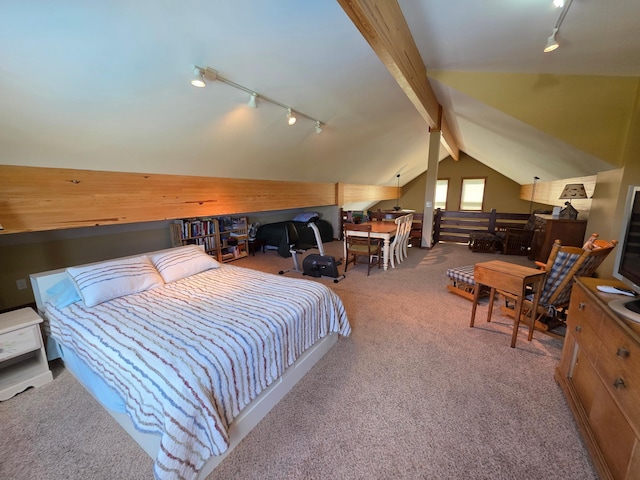 4459 130th St NW, Oronoco Twp, MN 55901 - photo 93