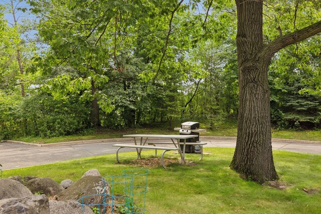 6085 Rowland Rd Unit 109, Minnetonka, MN 55343 - photo 39