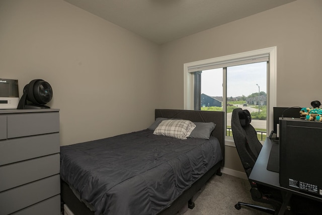 1007 11th Ave NW, Kasson, MN 55944 - photo 20