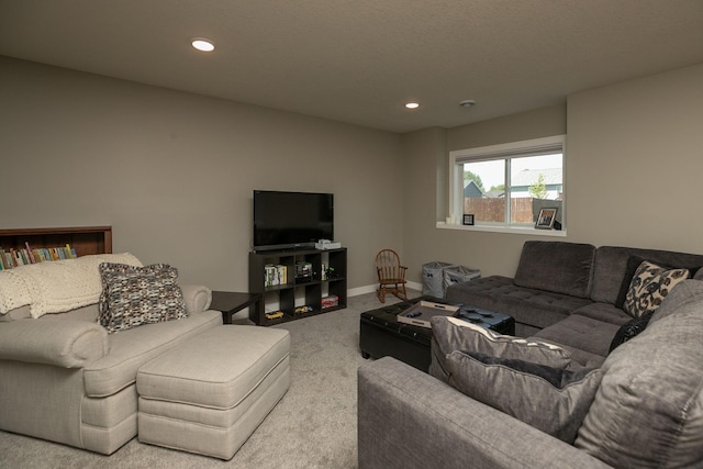 1007 11th Ave NW, Kasson, MN 55944 - photo 24