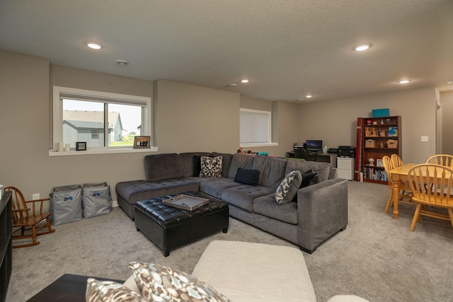 1007 11th Ave NW, Kasson, MN 55944 - photo 26