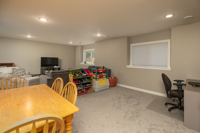 1007 11th Ave NW, Kasson, MN 55944 - photo 27