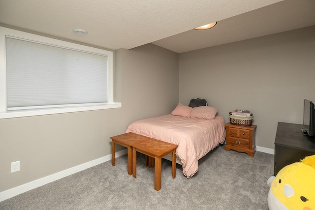 1007 11th Ave NW, Kasson, MN 55944 - photo 31
