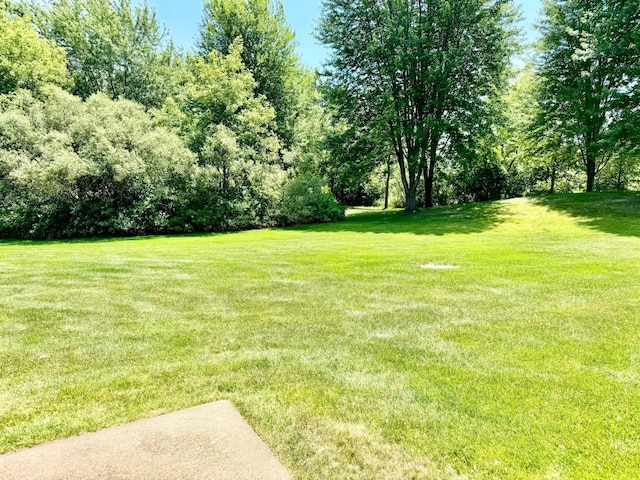 2974 David Cir, Little Canada, MN 55117 - photo 3