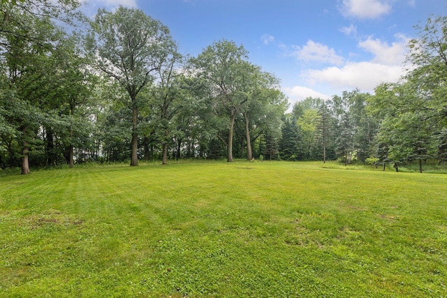 8695 200th St N, Forest Lake, MN 55025 - photo 35