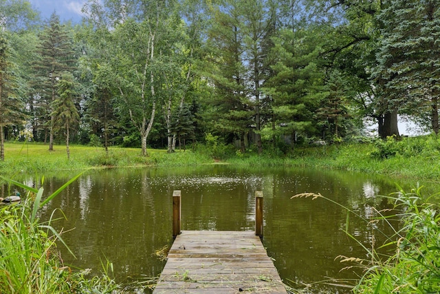 8695 200th St N, Forest Lake, MN 55025 - photo 38