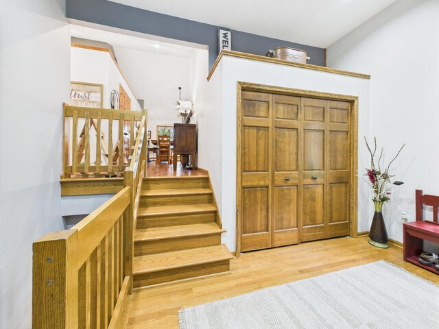 305 Birchcrest Dr, Glenwood Twp, MN 56334 - photo 17