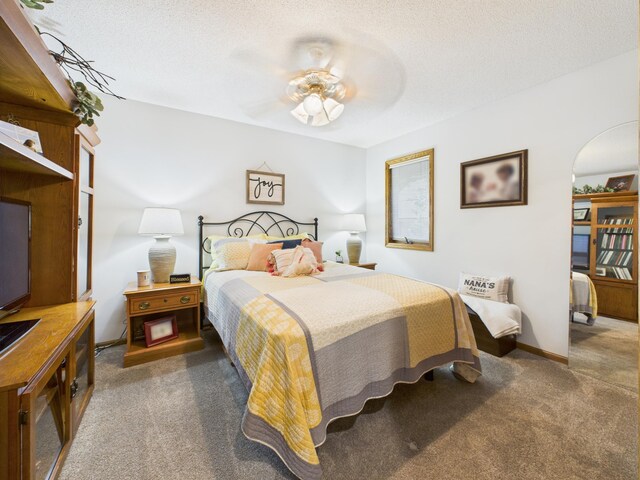 305 Birchcrest Dr, Glenwood Twp, MN 56334 - photo 25