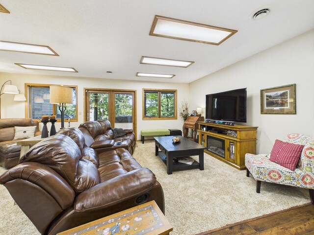 305 Birchcrest Dr, Glenwood Twp, MN 56334 - photo 41