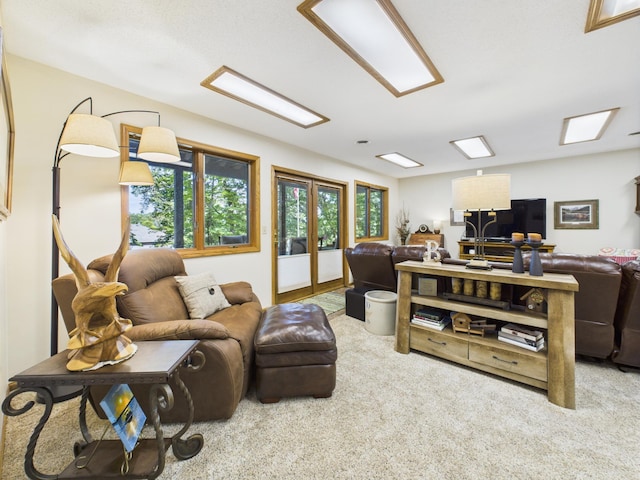 305 Birchcrest Dr, Glenwood Twp, MN 56334 - photo 46