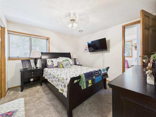305 Birchcrest Dr, Glenwood Twp, MN 56334 - photo 50