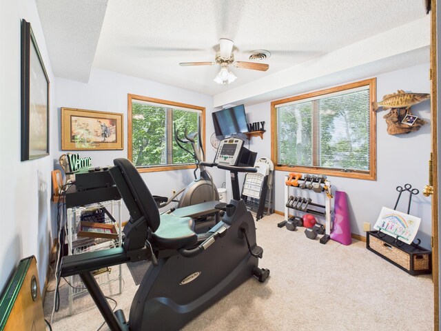 305 Birchcrest Dr, Glenwood Twp, MN 56334 - photo 51