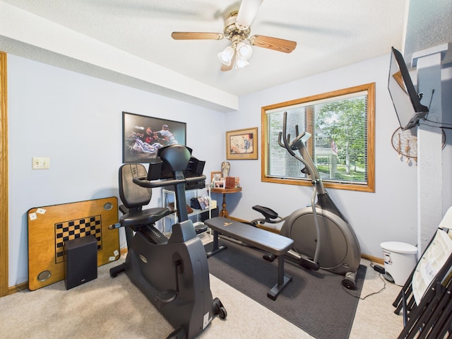 305 Birchcrest Dr, Glenwood Twp, MN 56334 - photo 52