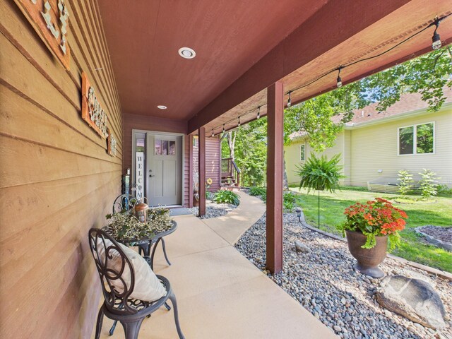 305 Birchcrest Dr, Glenwood Twp, MN 56334 - photo 60