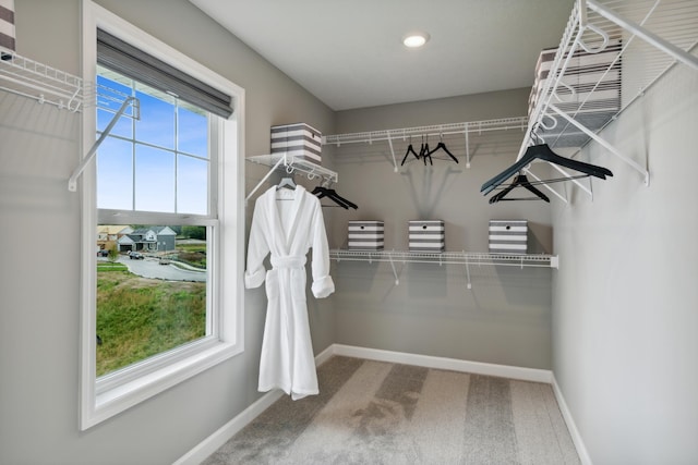 18112 Hounds Dr, Lakeville, MN 55044 - photo 15