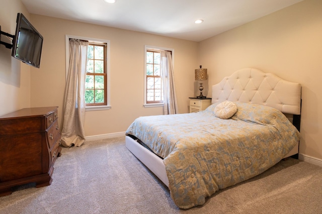 9 Larkspur Ln, North Oaks, MN 55127 - photo 18