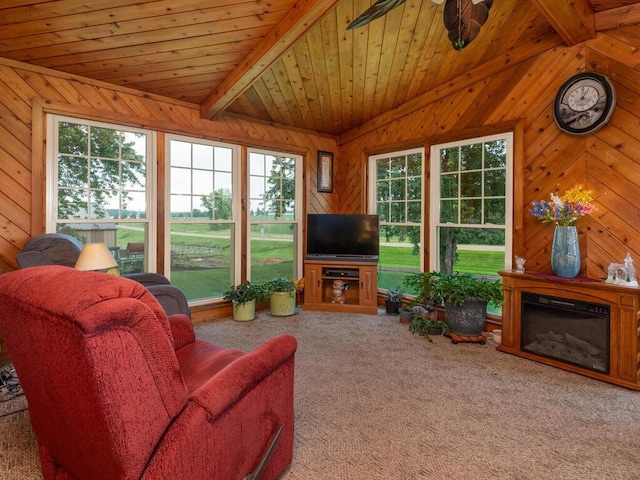 10460 County Road 50, Cologne, MN 55322 - photo 9