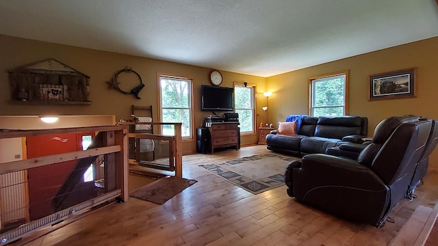 15959 214th Ave NW, Big Lake Twp, MN 55330 - photo 3