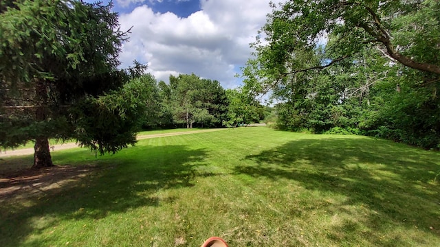 15959 214th Ave NW, Big Lake Twp, MN 55330 - photo 21