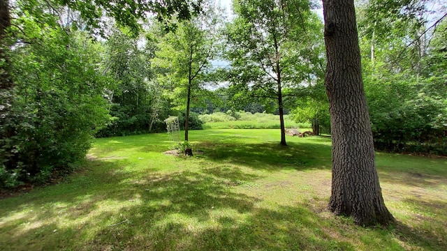 15959 214th Ave NW, Big Lake Twp, MN 55330 - photo 24