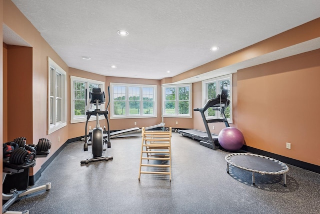 13905 272nd Ave NW, Livonia Twp, MN 55398 - photo 53