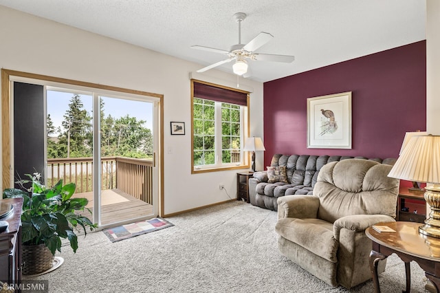 10819 180th Ave NW, Elk River, MN 55330 - photo 15