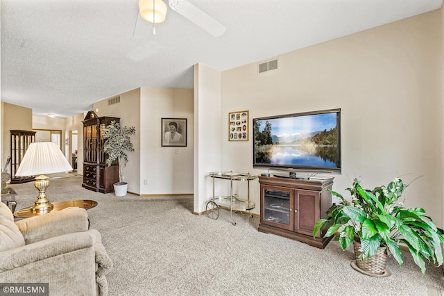 10819 180th Ave NW, Elk River, MN 55330 - photo 16