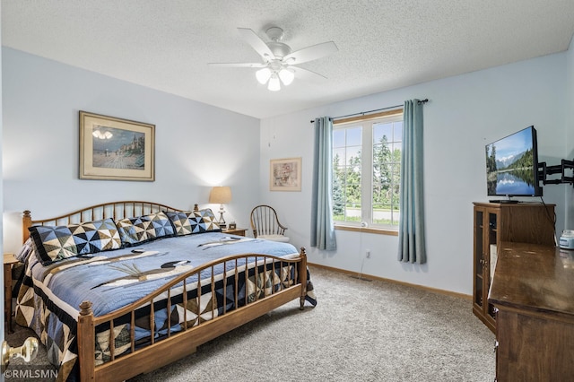10819 180th Ave NW, Elk River, MN 55330 - photo 17