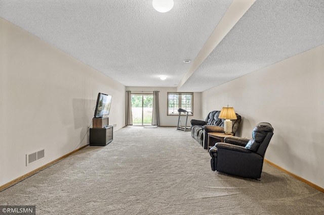 10819 180th Ave NW, Elk River, MN 55330 - photo 23