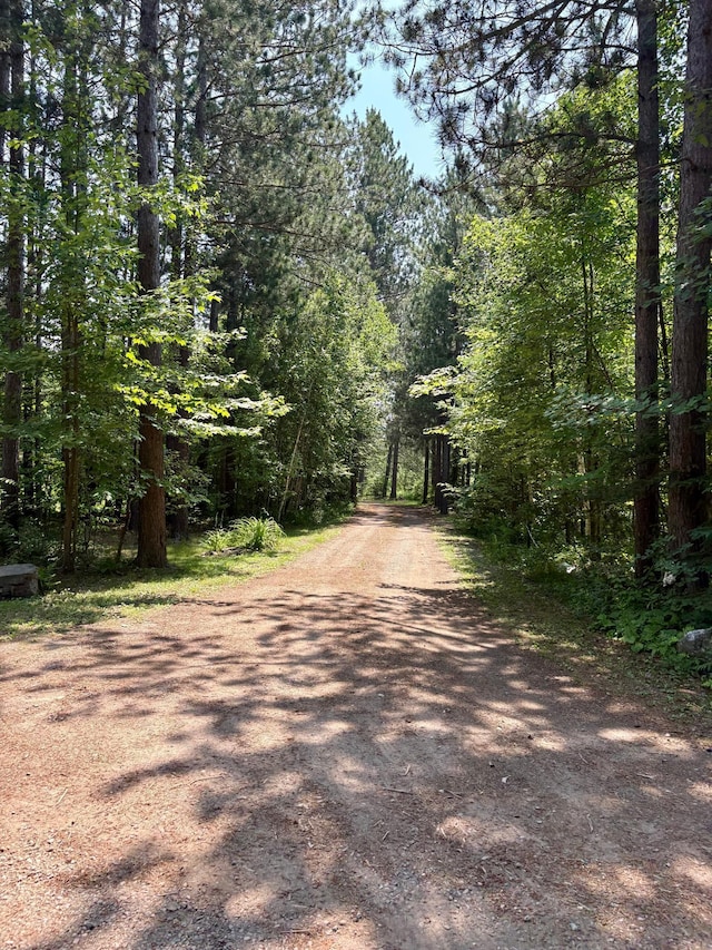 2594 County Road 8, Barnum Twp, MN 55707 - photo 23
