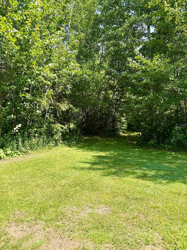 2594 County Road 8, Barnum Twp, MN 55707 - photo 30