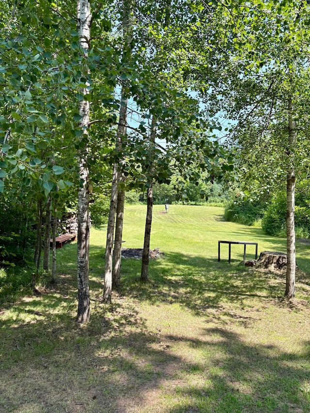 2594 County Road 8, Barnum Twp, MN 55707 - photo 43
