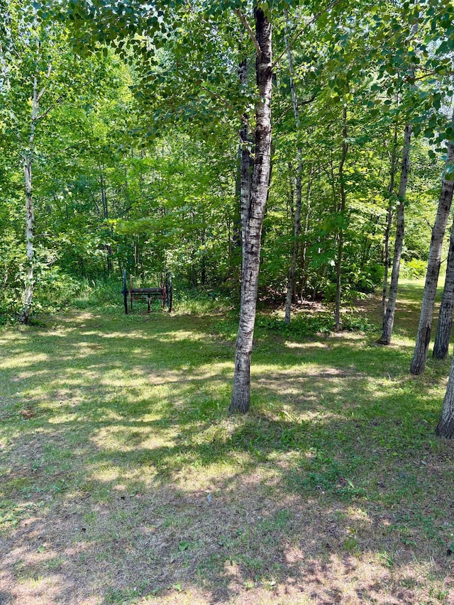 2594 County Road 8, Barnum Twp, MN 55707 - photo 59
