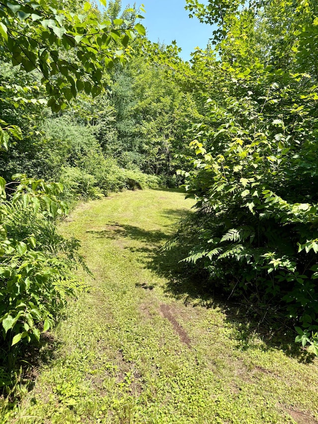 2594 County Road 8, Barnum Twp, MN 55707 - photo 61