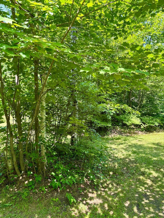 2594 County Road 8, Barnum Twp, MN 55707 - photo 62