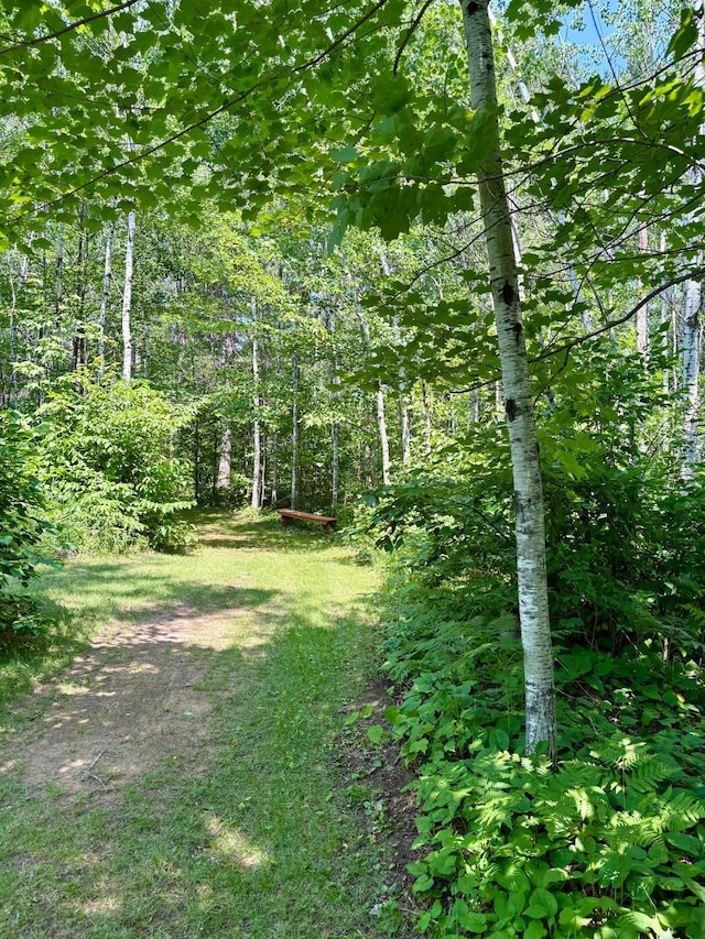 2594 County Road 8, Barnum Twp, MN 55707 - photo 79