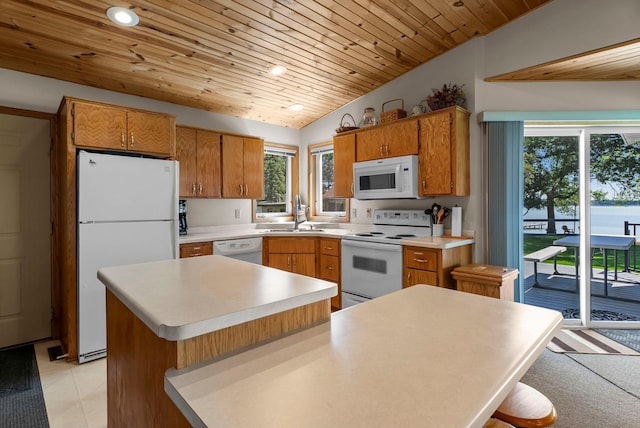 33559 Rhinestone St NW, Princeton, MN 55371 - photo 14