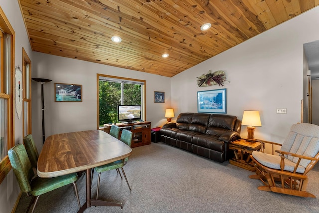 33559 Rhinestone St NW, Princeton, MN 55371 - photo 15