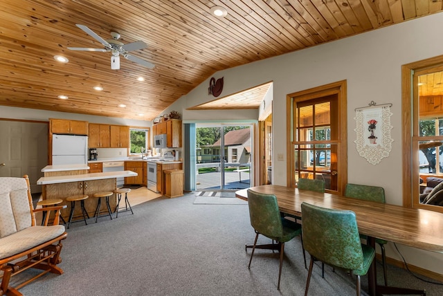 33559 Rhinestone St NW, Princeton, MN 55371 - photo 18