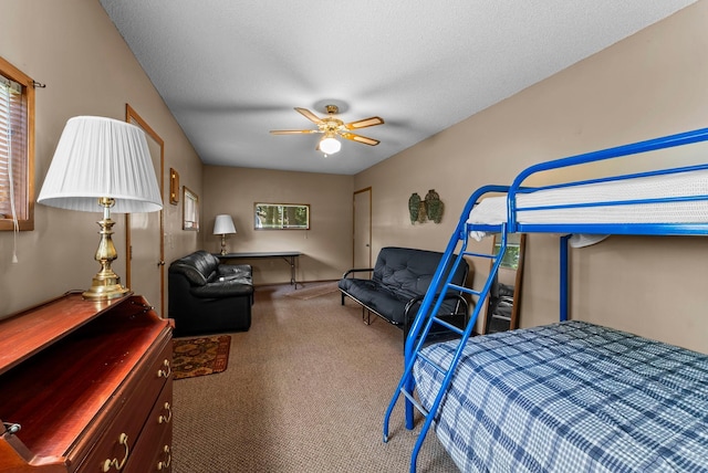 33559 Rhinestone St NW, Princeton, MN 55371 - photo 43