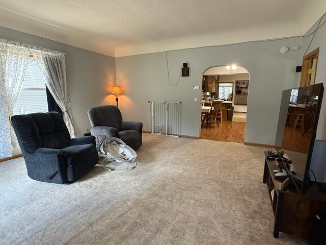 113 6th St, Prinsburg, MN 56281 - photo 9