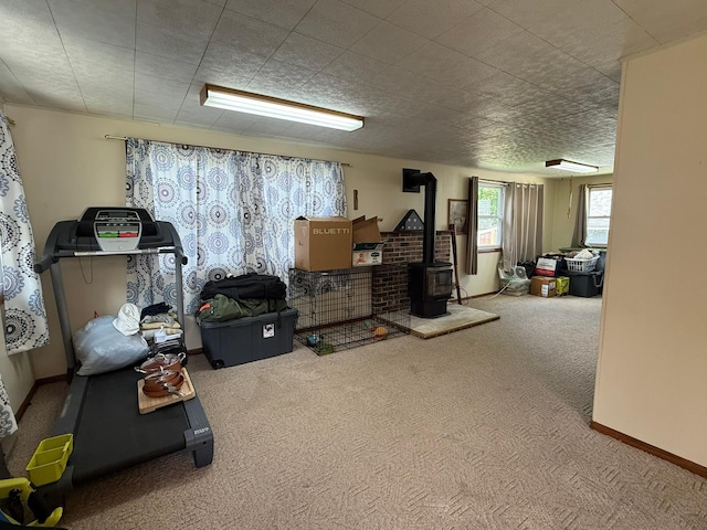 113 6th St, Prinsburg, MN 56281 - photo 11