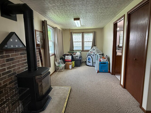 113 6th St, Prinsburg, MN 56281 - photo 12